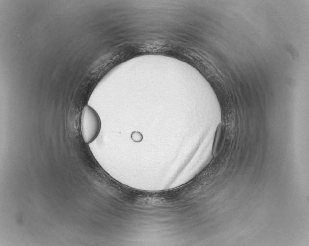 X0000115230503200911271825