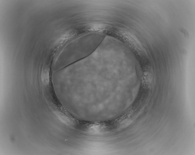 X0000115230504200911271825