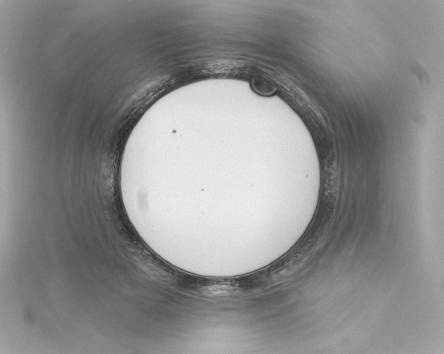 X0000115230505200911271825