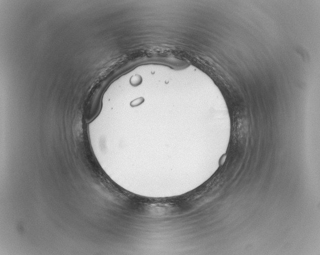 X0000115230508200911271825