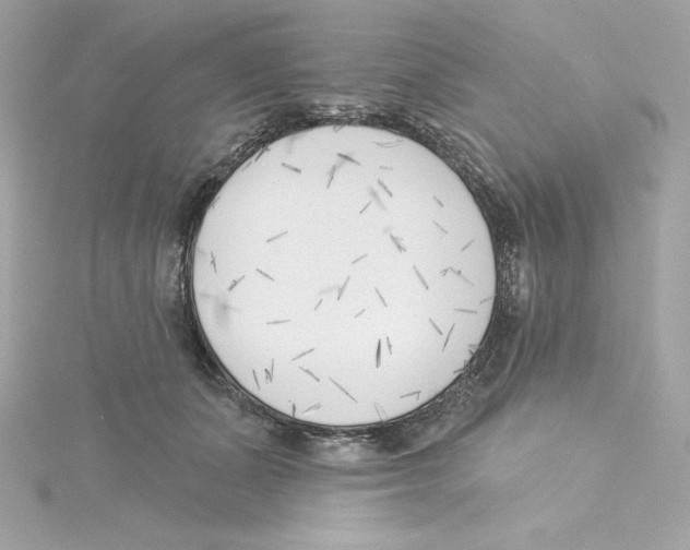 X0000115230511200911271825