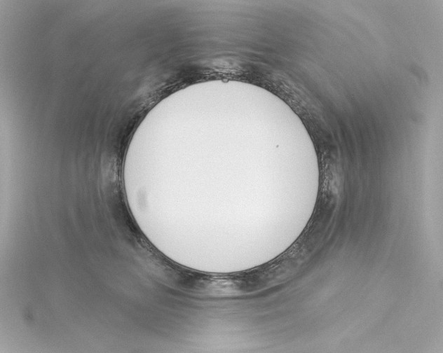 X0000115230518200911271825