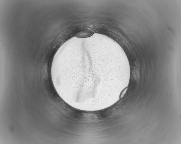 X0000115230520200911271825