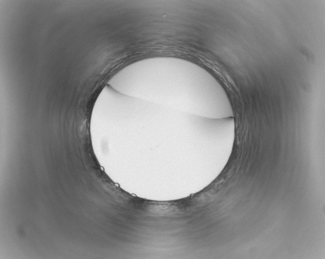 X0000115230521200911271825