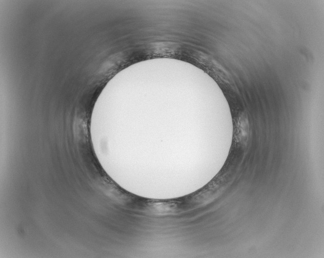 X0000115230522200911271825