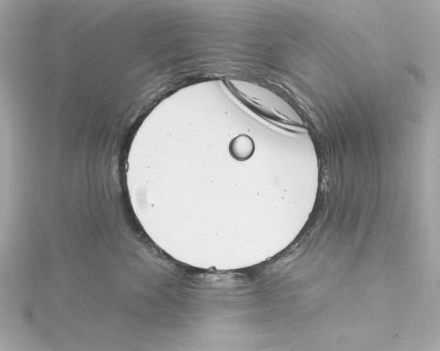 X0000115230524200911271825