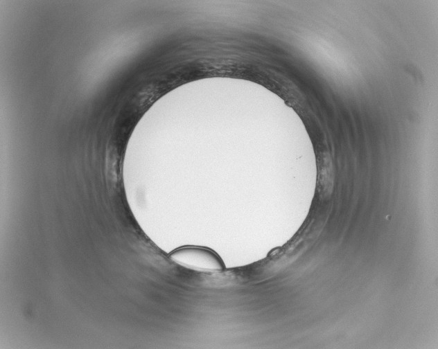 X0000115230525200911271825