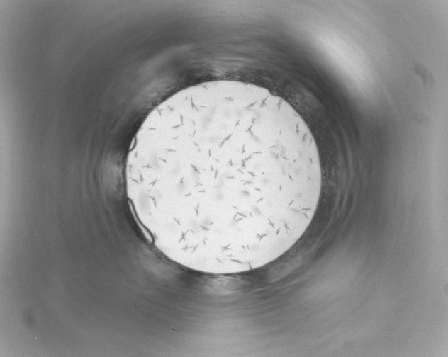 X0000115230527200911271825