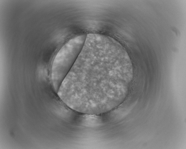 X0000115230528200911271825