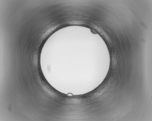 X0000115230533200911271824