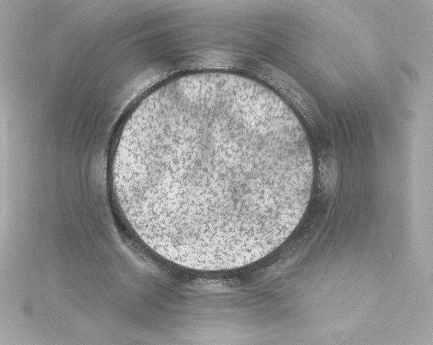 X0000115230534200911271824