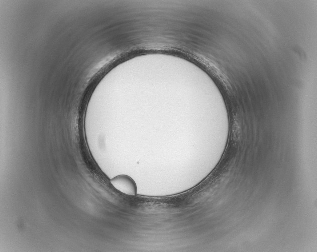 X0000115230535200911271824