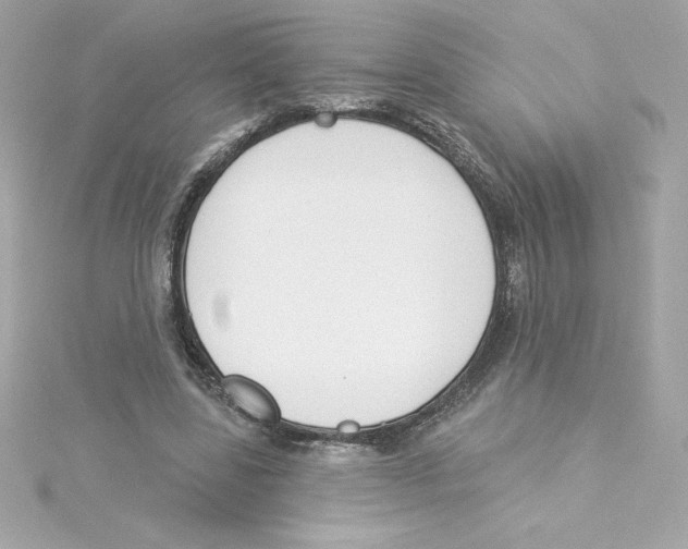 X0000115230539200911271824