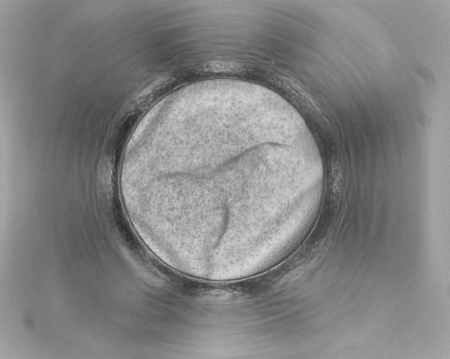 X0000115230542200911271824