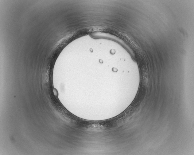 X0000115230543200911271824