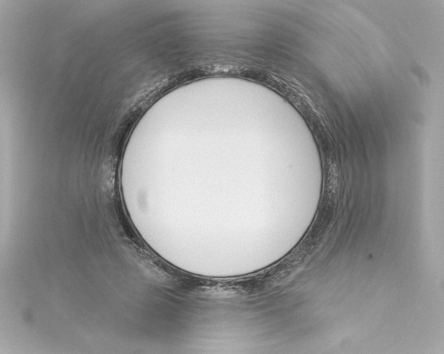 X0000115230545200911271824