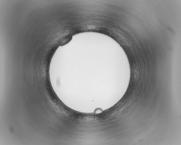 X0000115230546200911271824