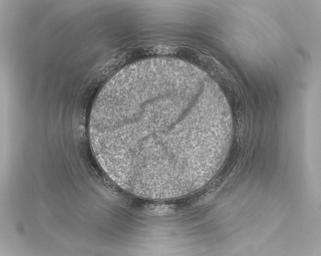 X0000115230553200911271824