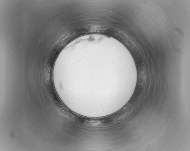 X0000115230554200911271824