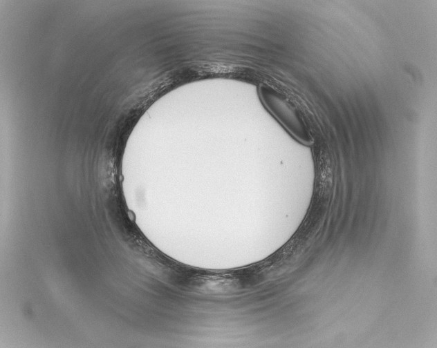 X0000115230555200911271824