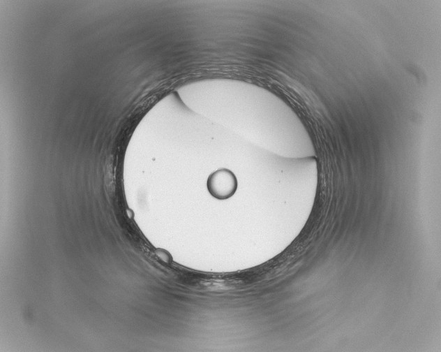 X0000115230558200911271825