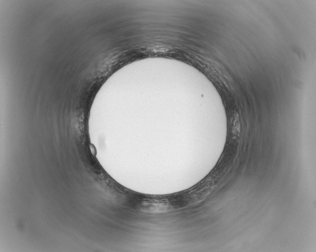 X0000115230559200911271825