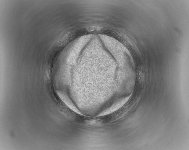 X0000115230561200911271825