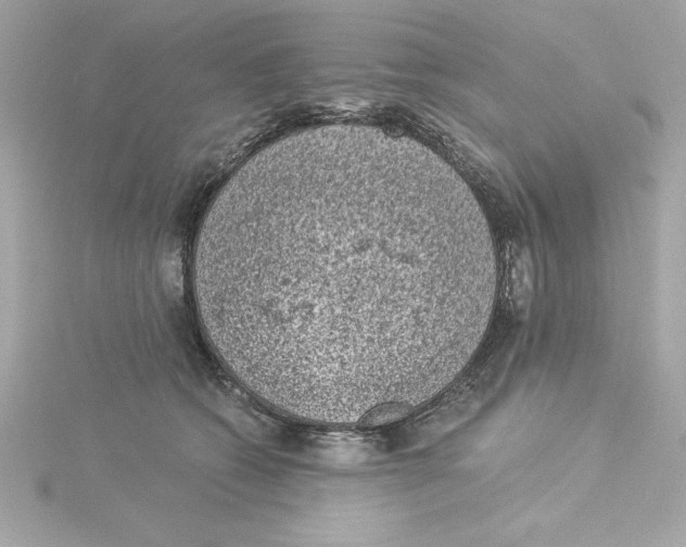 X0000115230562200911271825