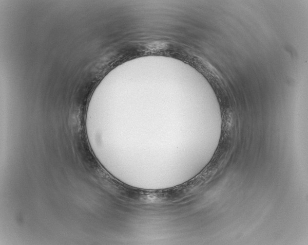 X0000115230565200911271825