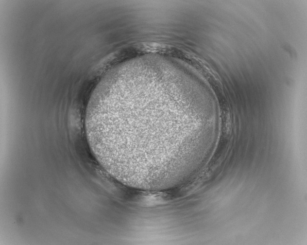 X0000115230569200911271825