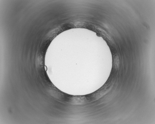 X0000115230571200911271825