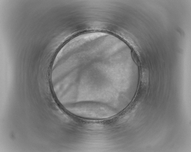 X0000115230577200911271824