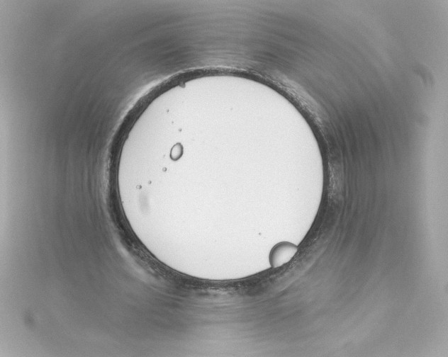 X0000115230580200911271824