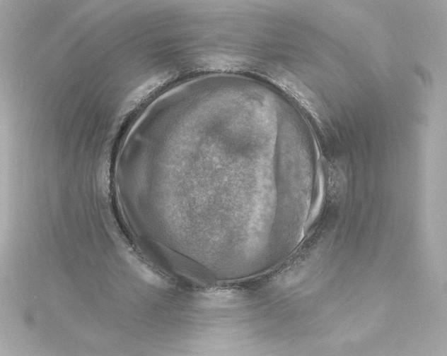 X0000115230581200911271824