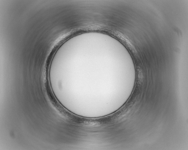 X0000115230582200911271824