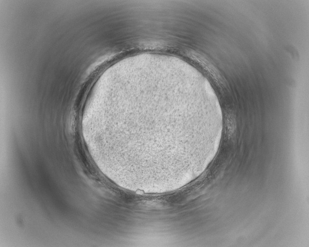 X0000115230583200911271824