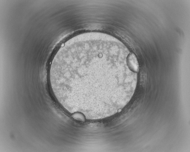 X0000115230584200911271824