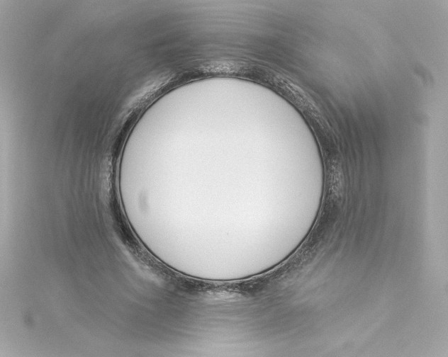 X0000115230586200911271824