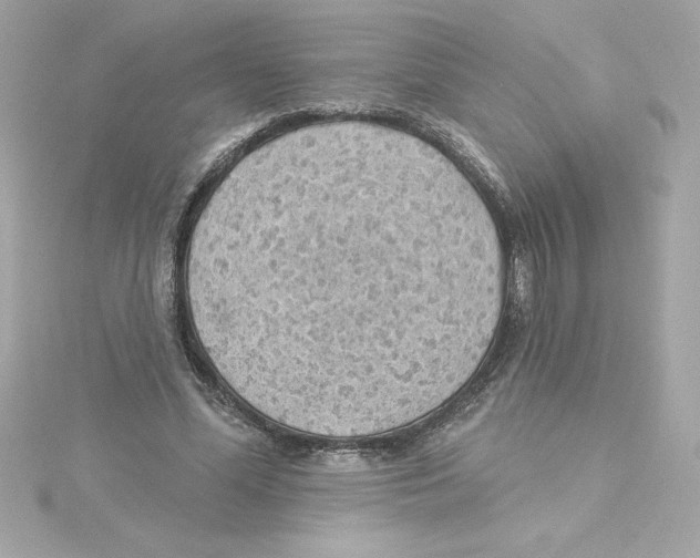 X0000115230588200911271824