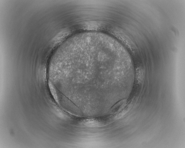 X0000115230589200911271824