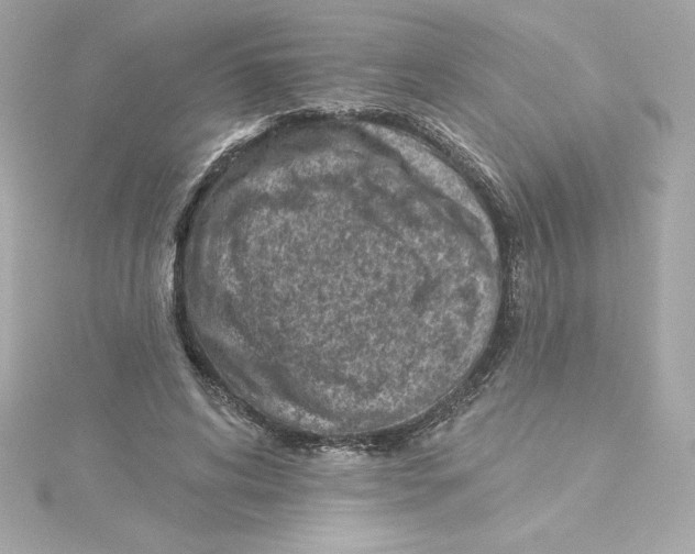 X0000115230592200911271824