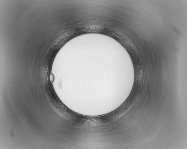 X0000115230599200911271824