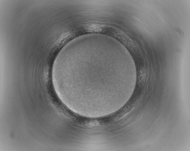 X0000115230600200911271824