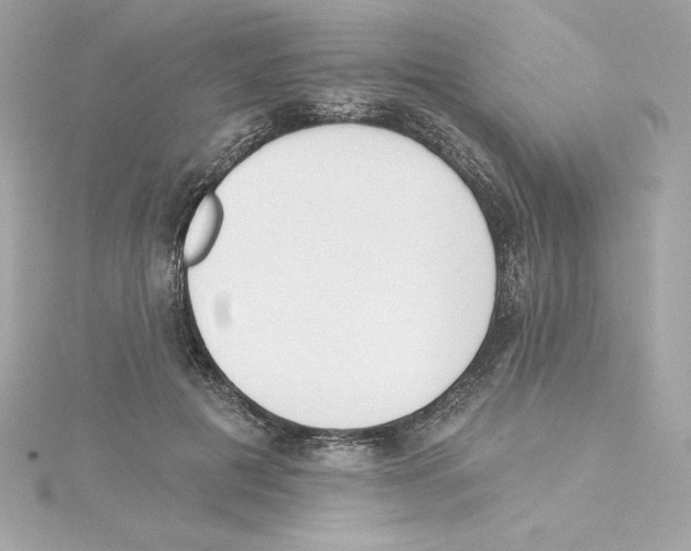 X0000115230601200911271824