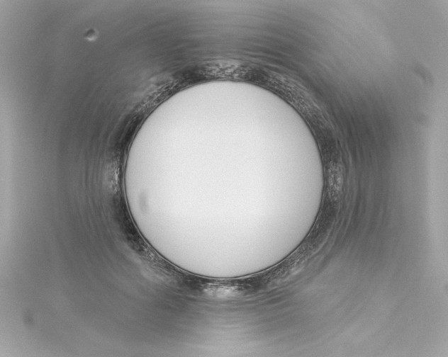 X0000115230602200911271824