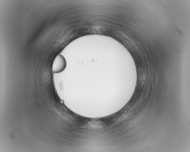 X0000115230603200911271824