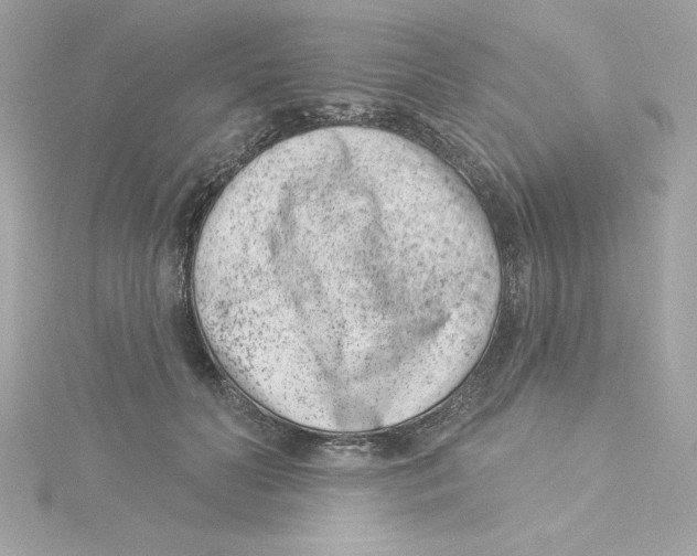 X0000115230606200911271824