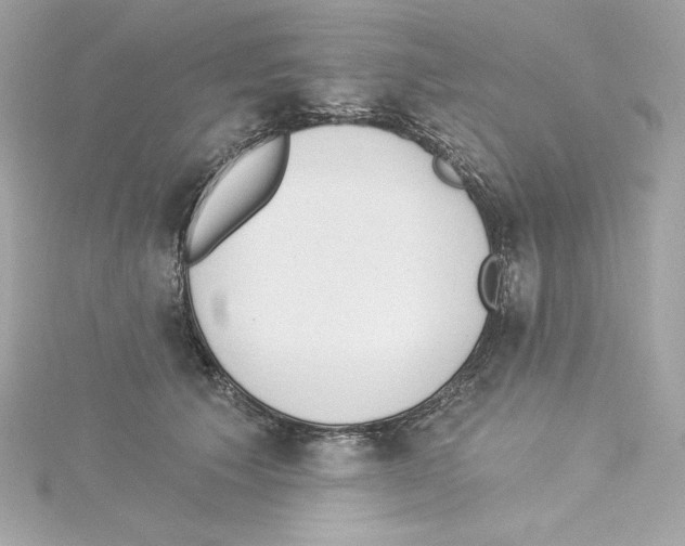 X0000115230609200911271824