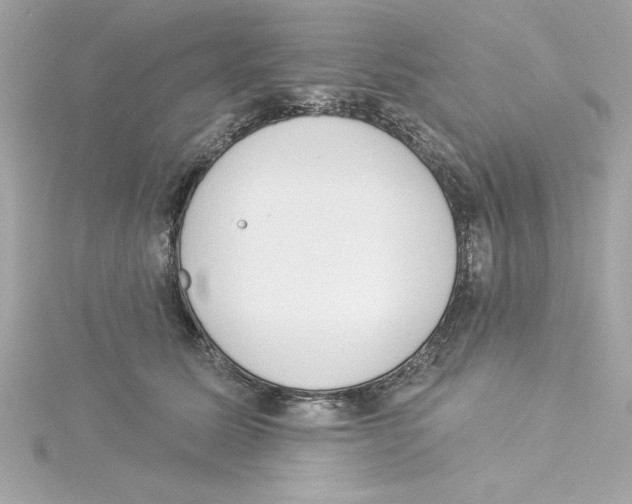 X0000115230611200911271824