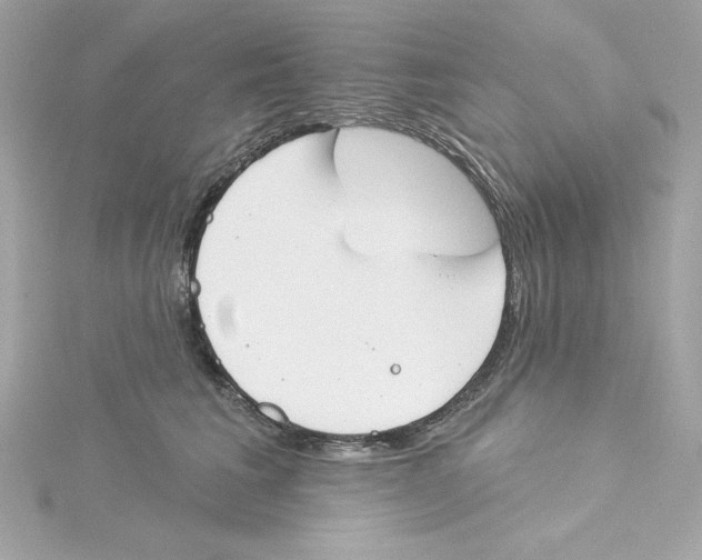 X0000115230613200911271824